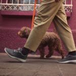 Allbirds erkek yün koşucular L6L2L31 sakin turkuaz (doğal beyaz taban) - Image 2