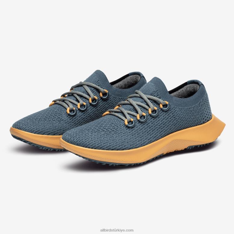 Allbirds erkekler ağaç dasher 2 L6L2L17 sakin deniz mavisi (yem ten rengi taban) - Image 7