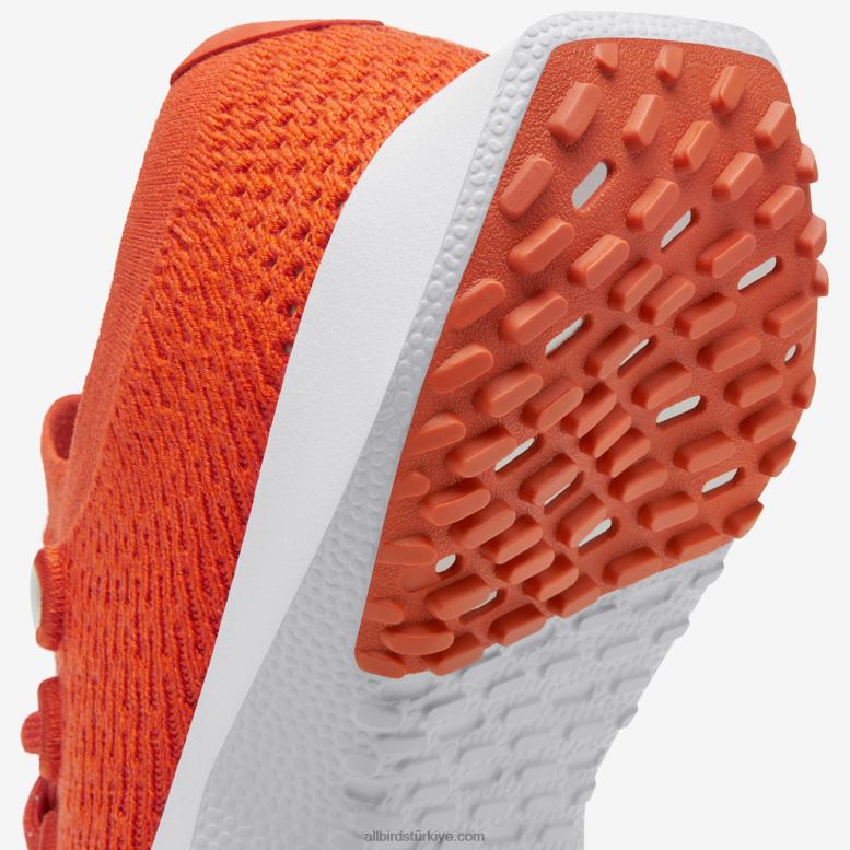 Allbirds erkekler ağaç dasher 2 L6L2L24 rad pas (kar fırtınası tabanı) - Image 3