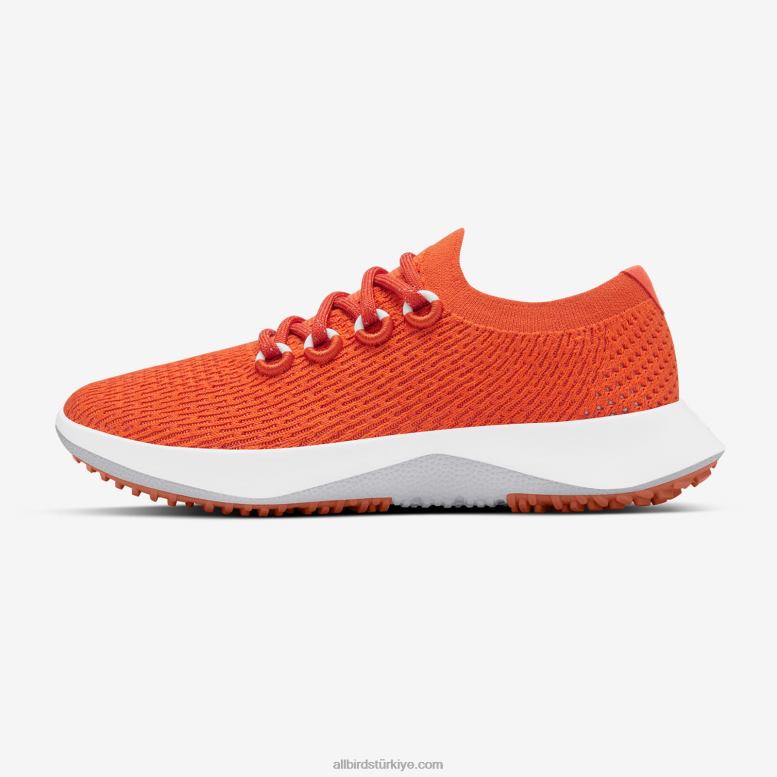 Allbirds erkekler ağaç dasher 2 L6L2L24 rad pas (kar fırtınası tabanı) - Image 4