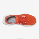 Allbirds erkekler ağaç dasher 2 L6L2L24 rad pas (kar fırtınası tabanı) - Image 7
