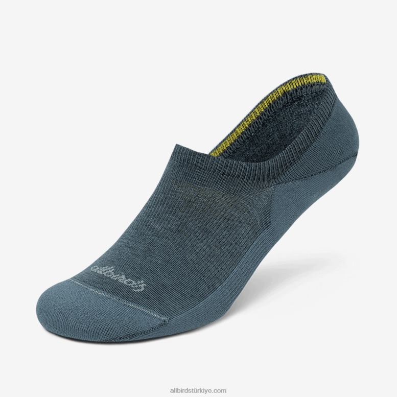 Allbirds erkekler her zaman görünmez çorap L6L2L109 sakin deniz mavisi - Image 1