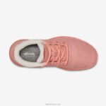 Allbirds erkekler için yün koşucu mizzle tüyleri L6L2L105 sakin mercan - Image 5