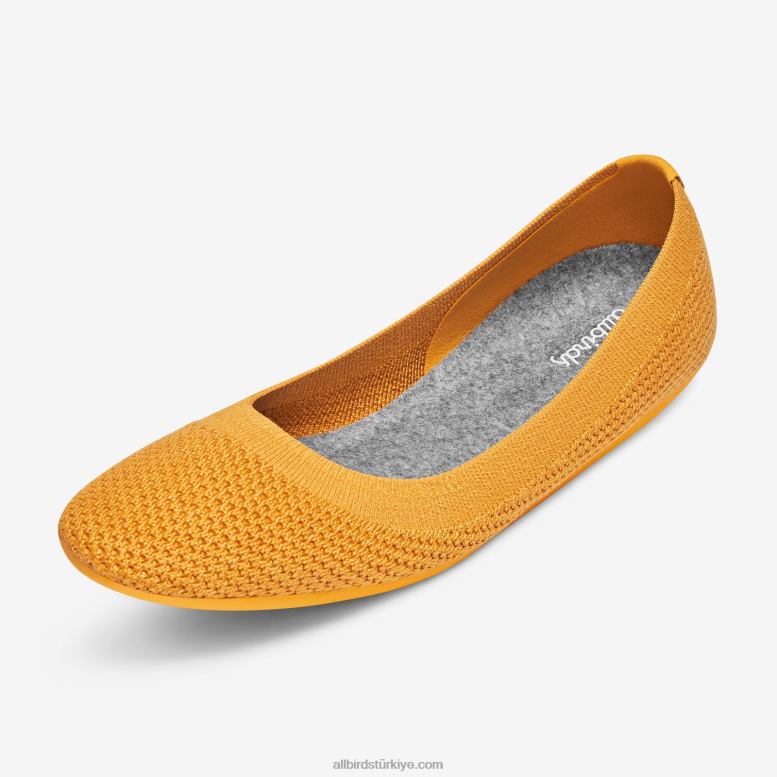 allbirds_kadin_agac_esintileri_l6l2l168_gelismek_sari.jpg Allbirds kadın ağaç esintileri L6L2L168 gelişmek sarı - Image 1
