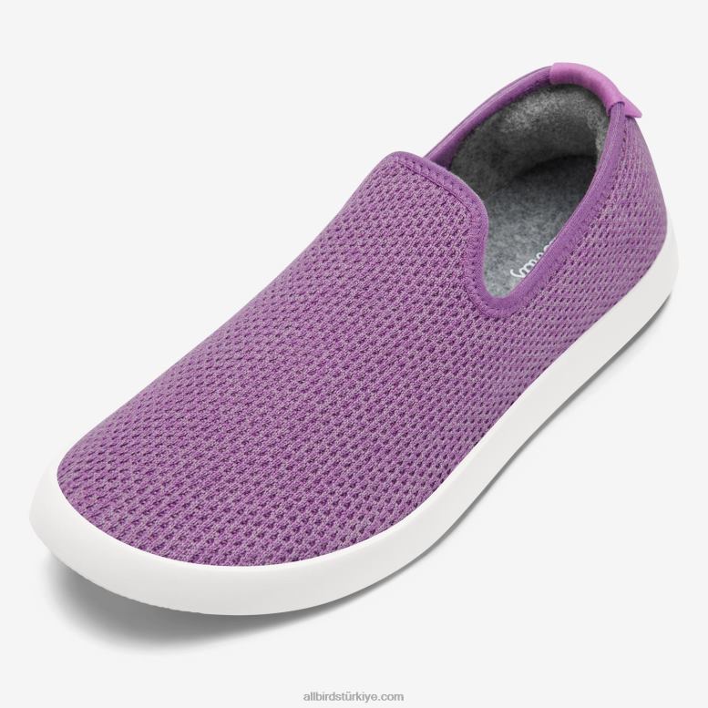 allbirds_kadin_agac_sezlonglari_l6l2l178_luks_mor_kar_firtinasi_tabani.jpg Allbirds kadın ağaç şezlongları L6L2L178 lüks mor (kar fırtınası tabanı) - Image 1