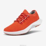 Allbirds erkekler ağaç dasher 2 L6L2L24 rad pas (kar fırtınası tabanı)